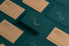 Thibaut Chignaguet graphiste