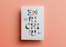 Thibaut Chignaguet graphiste