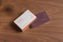 Thibaut Chignaguet graphiste