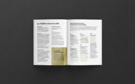 Thibaut Chignaguet graphiste