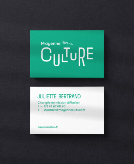 Thibaut Chignaguet graphiste