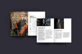 Thibaut Chignaguet graphiste