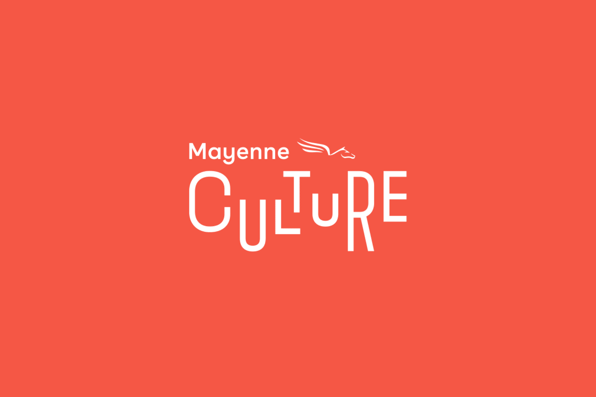  Thibaut Chignaguet graphiste