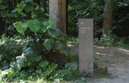 Thibaut Chignaguet graphiste