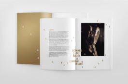 Thibaut Chignaguet graphiste