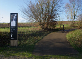 Thibaut Chignaguet graphiste