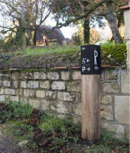 Thibaut Chignaguet graphiste