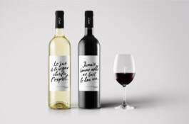 Thibaut Chignaguet graphiste