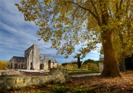 Thibaut Chignaguet graphiste